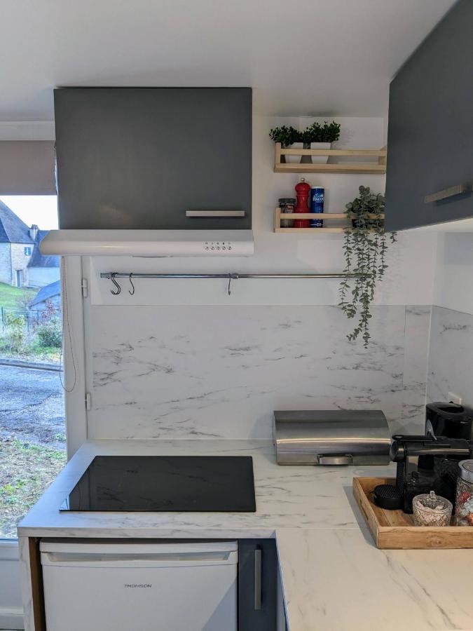 Private Studio With Garden - Maison 1870 Sarlat-la-Caneda Εξωτερικό φωτογραφία