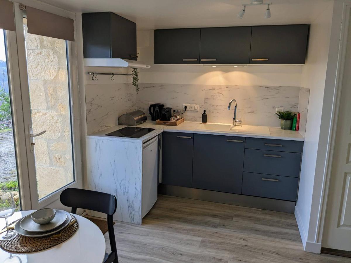 Private Studio With Garden - Maison 1870 Sarlat-la-Caneda Εξωτερικό φωτογραφία
